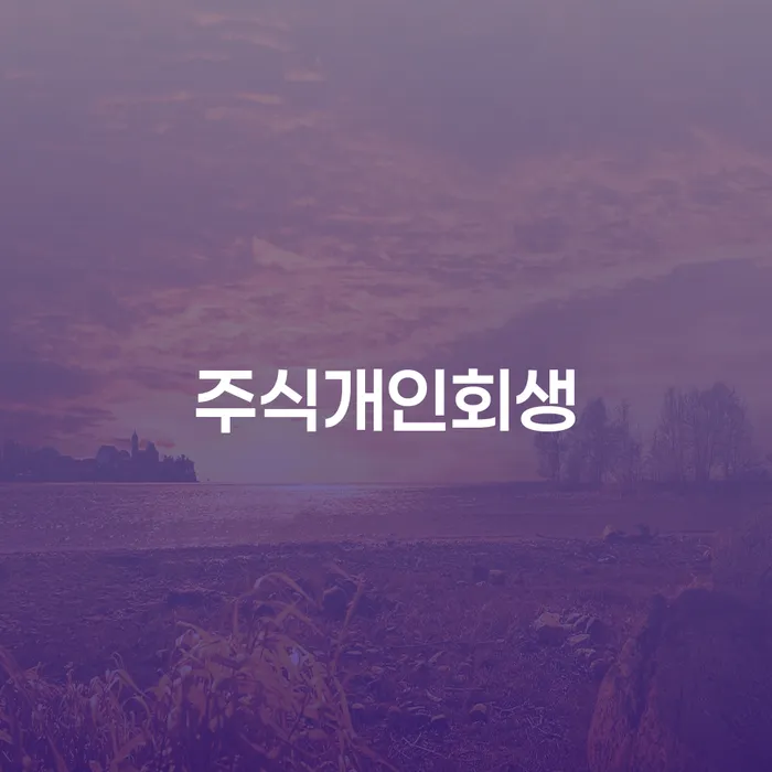 개인사업자개인회생 개인회생 제도 결정이나고