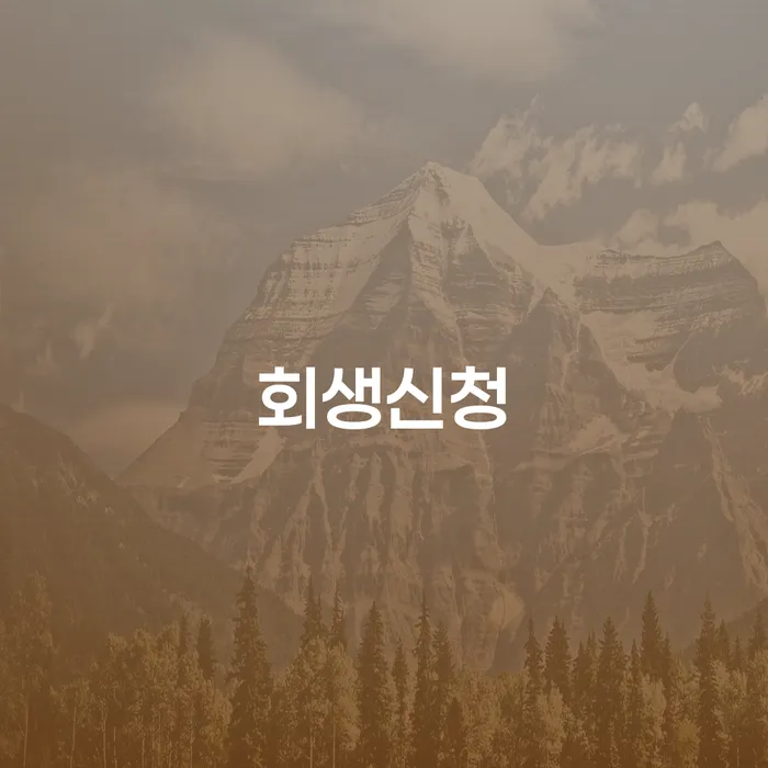 채무조정 개인회생으로 방법 정확한상담을