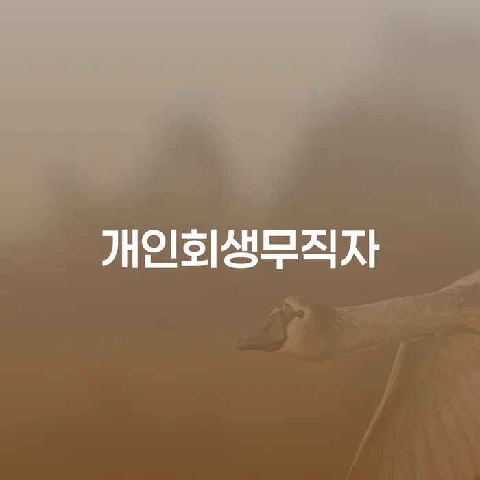 대출 연체 빚 합법적인 빠른방법 믿고 진행 할 수 있는